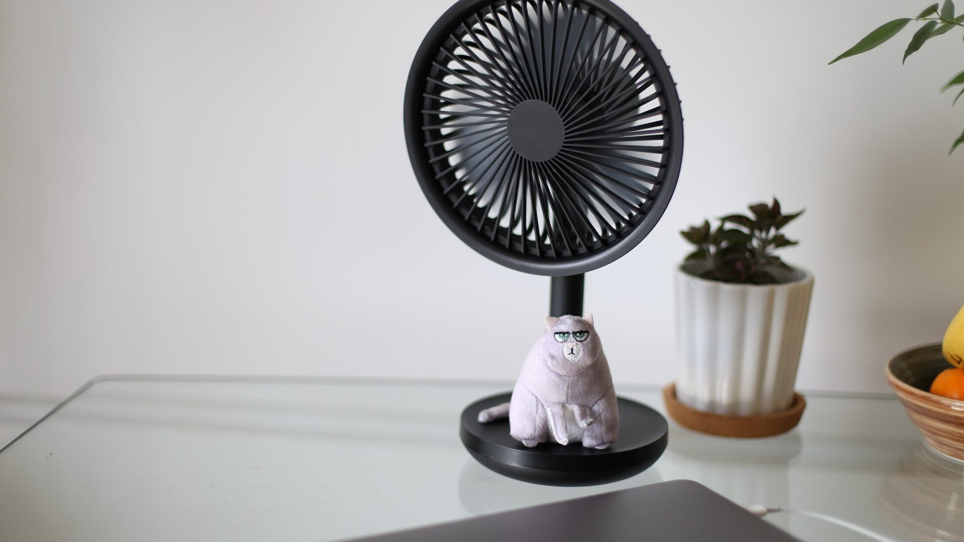 electric-fan